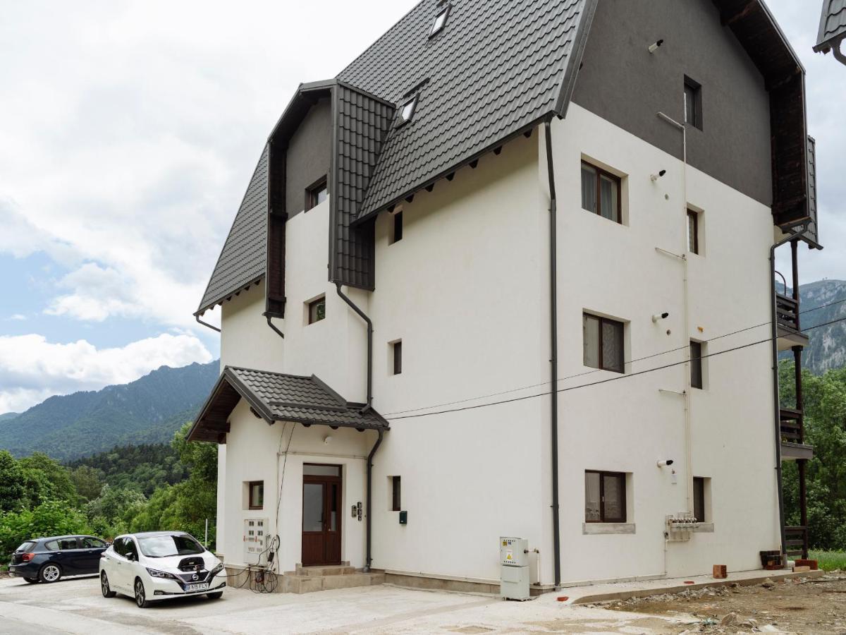 Nature Loft By The River Busteni Exterior photo
